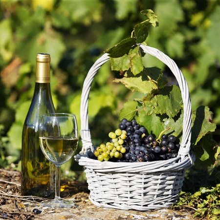 glass and bottle of wine and grappes in basketの写真素材