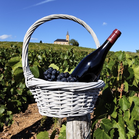bottle of wine and grappes in basket in Franceの写真素材