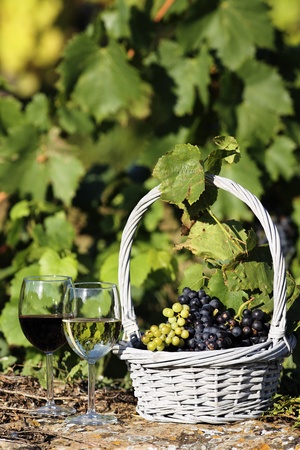 two glasses of wine and grapes in a basketの写真素材