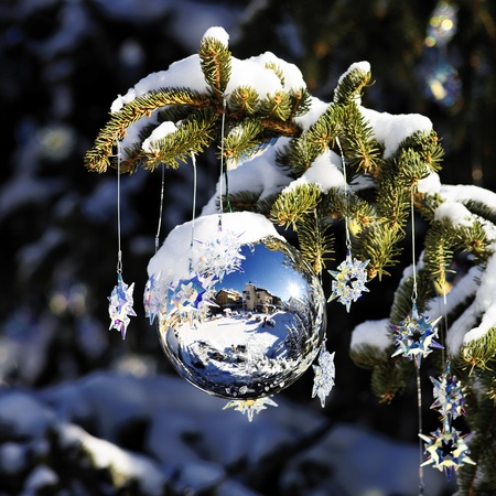 christmas ball in a tree with snow on decemberの写真素材