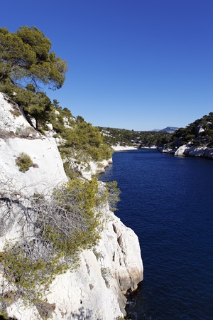 beautiful mediterranean coast in France in summerの写真素材