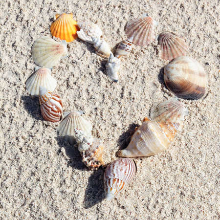 heart made with shells on sand of a beachの写真素材