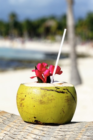 Coconut with drinking straw on a palm tree on a beachの写真素材