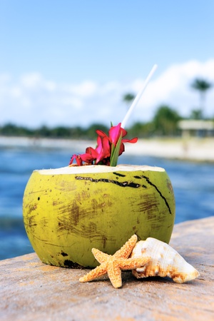 Coconut with drinking straw on a beach in Mexicoの写真素材
