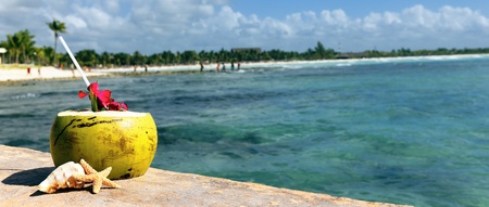 Coconut with drinking straw  at the sea の写真素材