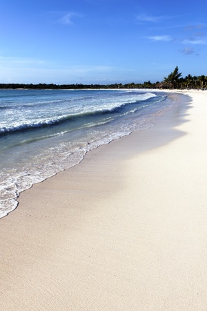 mexican beach with wave on the sand under the sunの写真素材