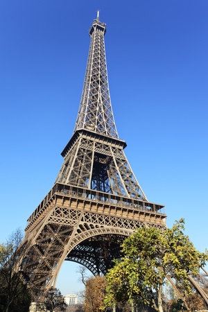 famous Eiffel Tower and trees in Parisの写真素材