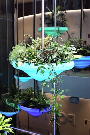 flower pot dangling from the roofの写真素材