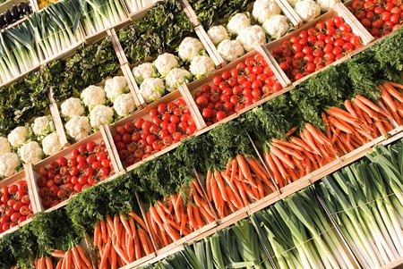 different types of fresh vegetables on marketの写真素材