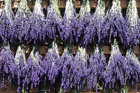 bouquet of lavender in french country in summerの写真素材