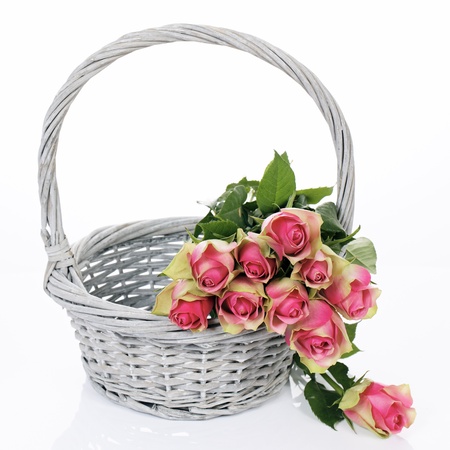 Roses in the Basket on white backgroundの写真素材