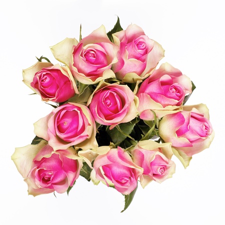 Bunch of pink roses isolated on white の写真素材