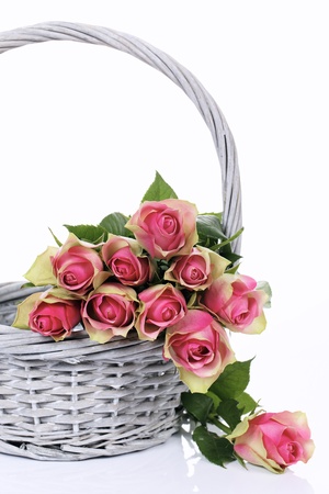 pink roses in Basket on white backgroundの写真素材