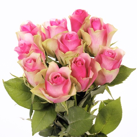 beautiful bouquet of pink roses isolated on white の写真素材
