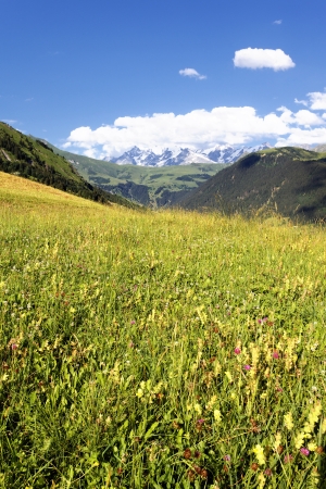 View of the Savoy Alps-Europe in summerの写真素材