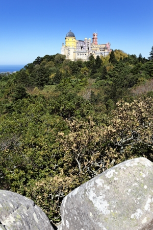 vertical view of Pena castle in sintra, Portugalの写真素材