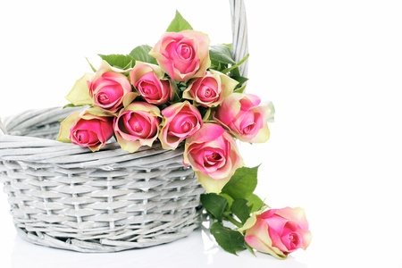 pink roses in the Basket on white backgroundの写真素材