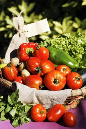 some fresh vegetables on the table in gardenの写真素材