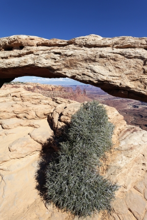 Mesa Arch, Canyonlands National Park in Utah の写真素材