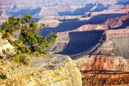 Horizontal view of famous Grand Canyon, USAの写真素材