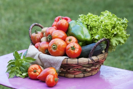 Vegetables on a table in a garden under the sunlightの写真素材