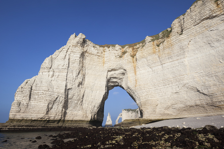 Famous chalk cliffs at Cote d'Albatre (Alabaster Coast). Etretat, Franceの写真素材