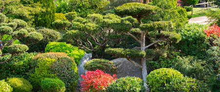 View in famous Japan Garden in Toulouse, Franceのeditorial素材