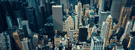 View of New York from Empire State Building, USA