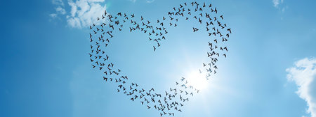 Birds fly heart shaped on blue sky, AI generated imageの素材