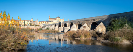 view of famous bridge in Cordoba, Spain