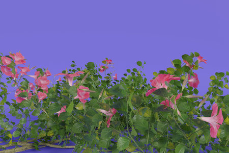 flowers on purple background 3d