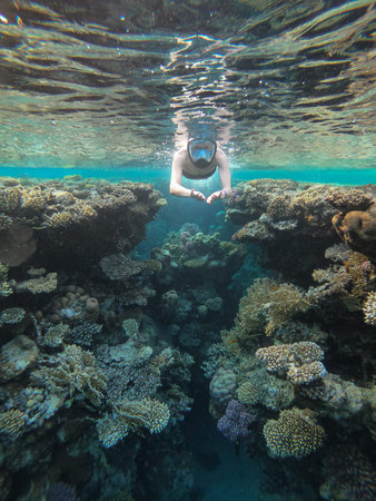Young women engaged in snorkeling explore the underwater landscape of a coral reef against the...