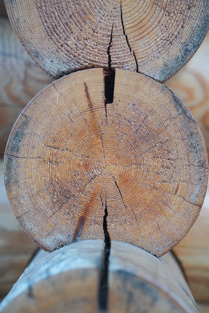 Detailed close-up of stacked wooden logs showing the natural texture, growth rings, and cracks. Provides a clear view of wood structure, ideal for construction or carpentry themes.の写真素材