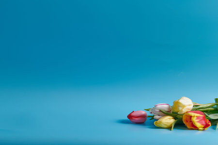 bouquet of colorful tulips on a blue background