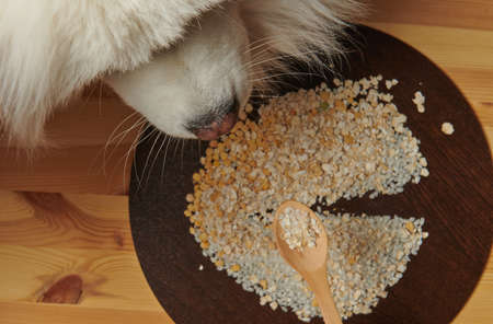 grains of rice peas pearl barley on a wooden backgroundの写真素材