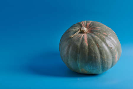 green large pumpkin on a blue backgroundの写真素材