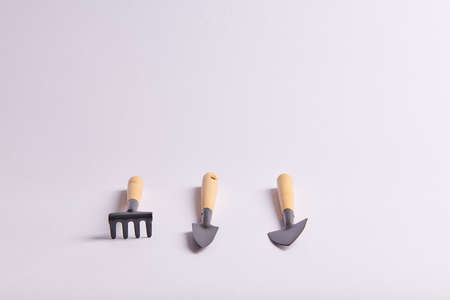 three shovels and a rake for planting seeds in potsの写真素材