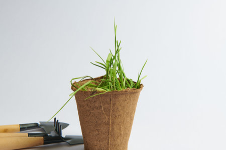 shovel and rake pot with green sprouts