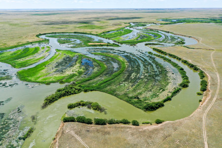 A large green field High quality photoの写真素材