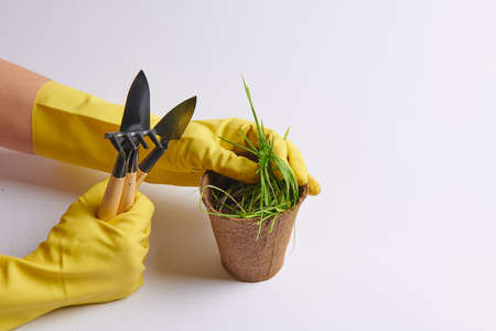 gloves yellow greens potted flower planting toolsの写真素材