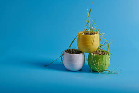 yellow white green pots with grass stand on the backgroundの写真素材