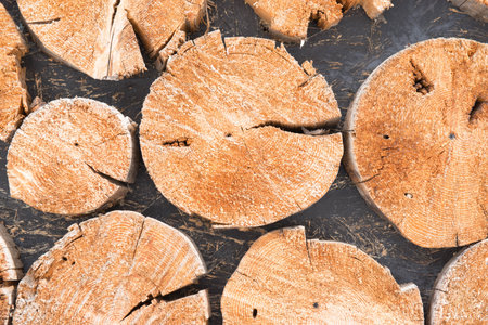 beautiful logs round like a wall are made