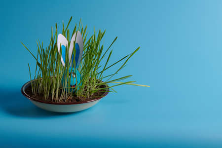 easter egg with ears and a muzzle in the grassの写真素材