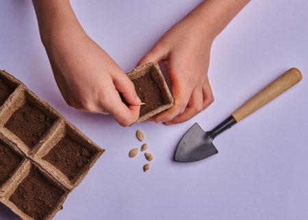 seeds are planted in pots for seedlings