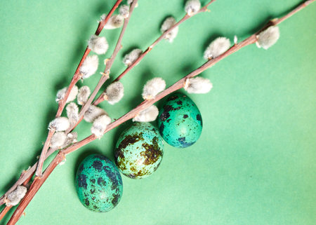 pussy willow and green eggs lie on a green background