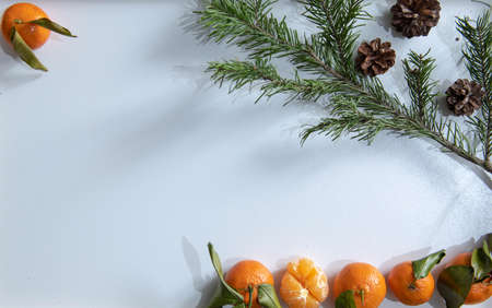 fir and tangerines on a white backgroundの写真素材