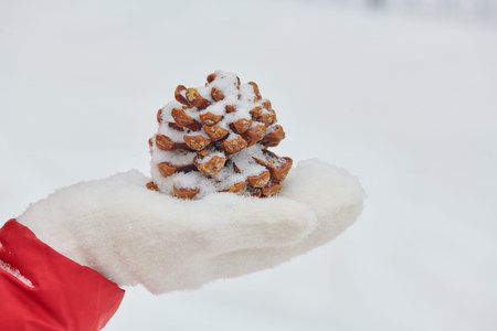 a big cedar cone on a white mitten lies