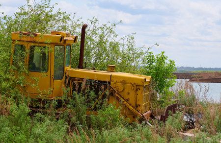 side view of an old broken yellow tractor in the bushes