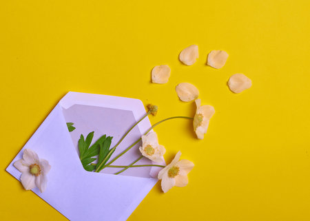 Flowers and petals in an envelope on a yellow background