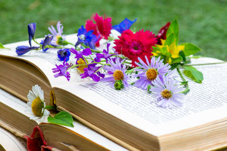 very interesting books lie and flowers are differentの写真素材